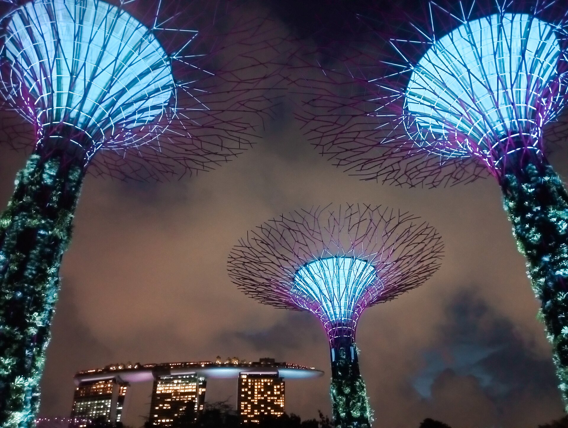Supertree Grove at Gardens by the Bay