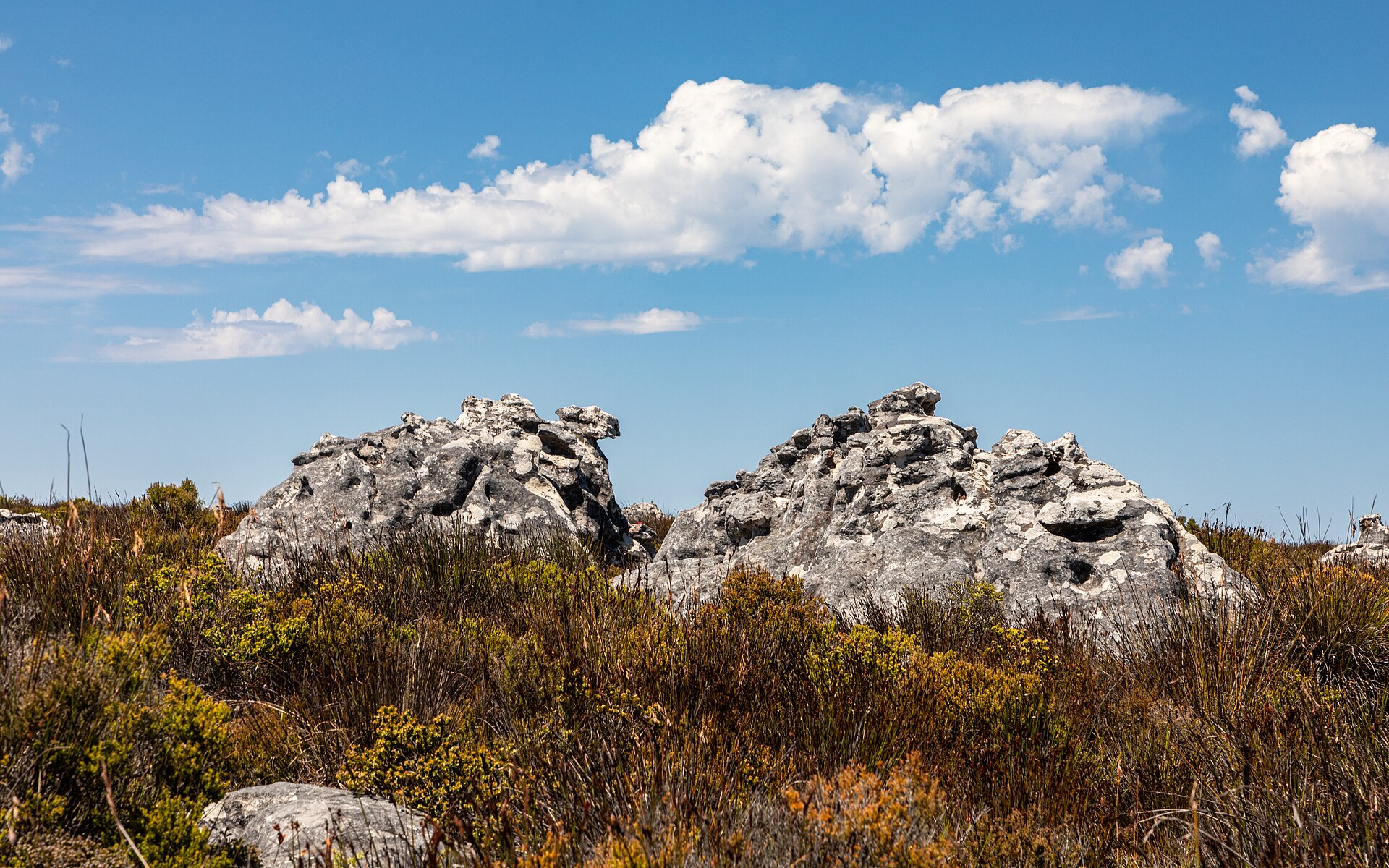 Table Mountain above Cape Town